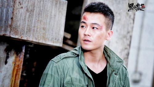 黑白禁区演员表,实力派演员齐聚，演绎惊心动魄的犯罪斗争