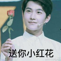 召唤杨洋的表情包,魅力四溢，笑翻网友